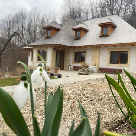 Casa Cu Sindrila Villa Vălenii de Munte Exteriör bild