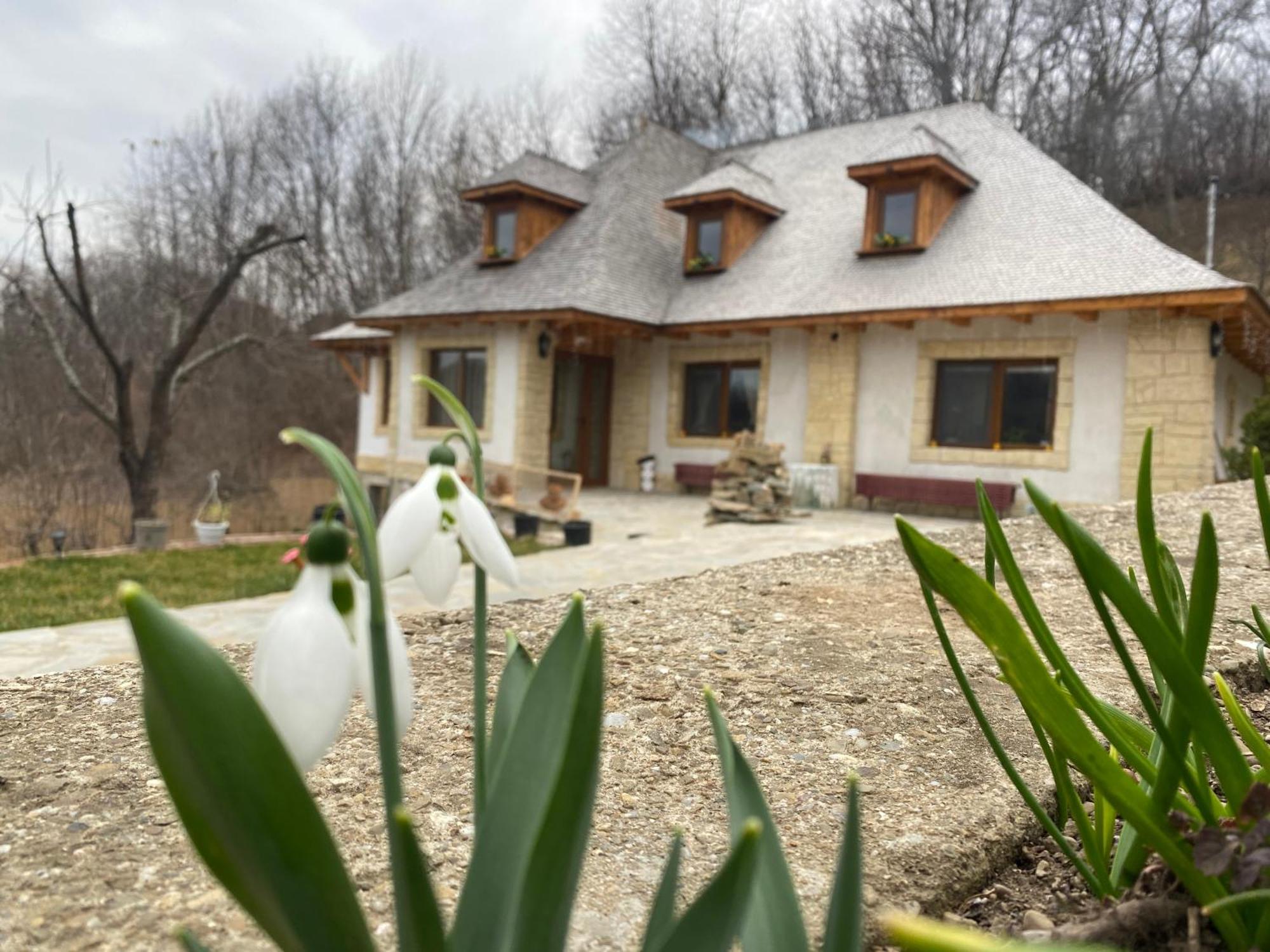 Casa Cu Sindrila Villa Vălenii de Munte Exteriör bild