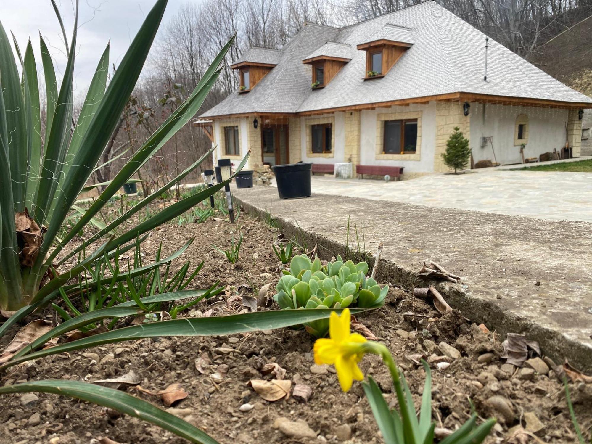 Casa Cu Sindrila Villa Vălenii de Munte Exteriör bild
