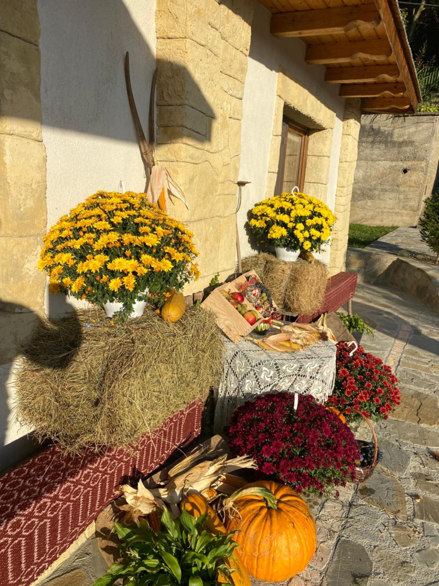 Casa Cu Sindrila Villa Vălenii de Munte Exteriör bild